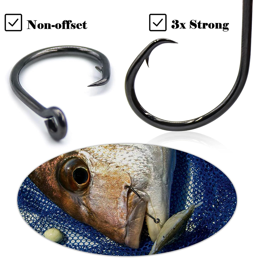 ตะขอวงกลม 3X แข็งแรง สำหรับตกป - Fishing Hook Assortment บทวิจารณ์และราคา